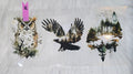 Animals