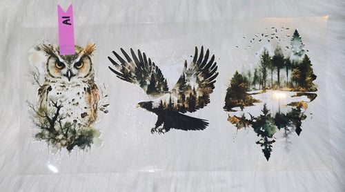 Animals