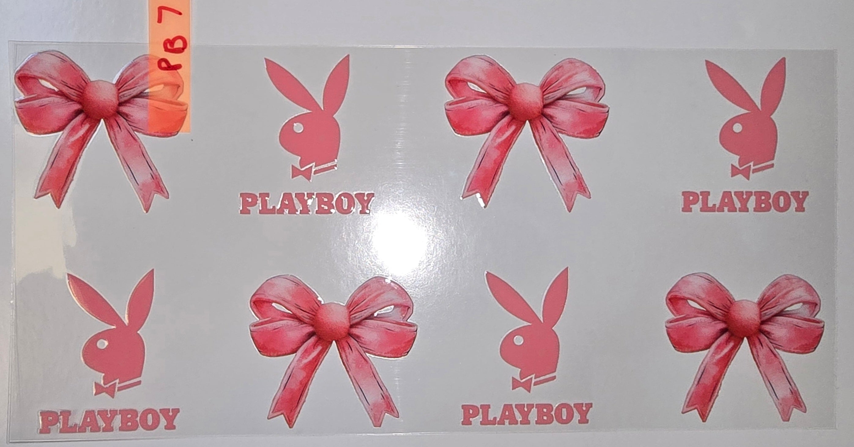 Cute Rabbit
